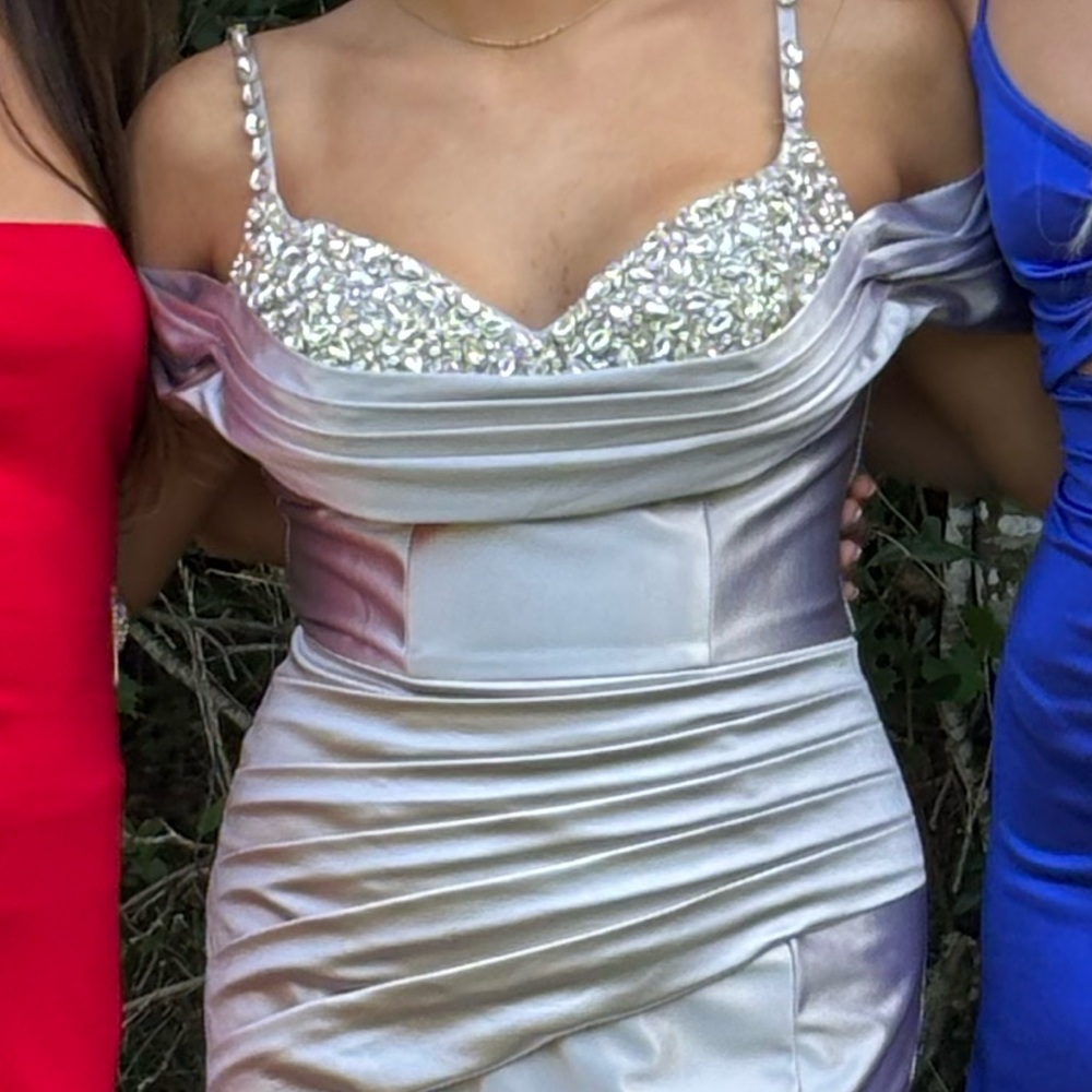 Silver Ruched Strapless Prom/Evening Gown